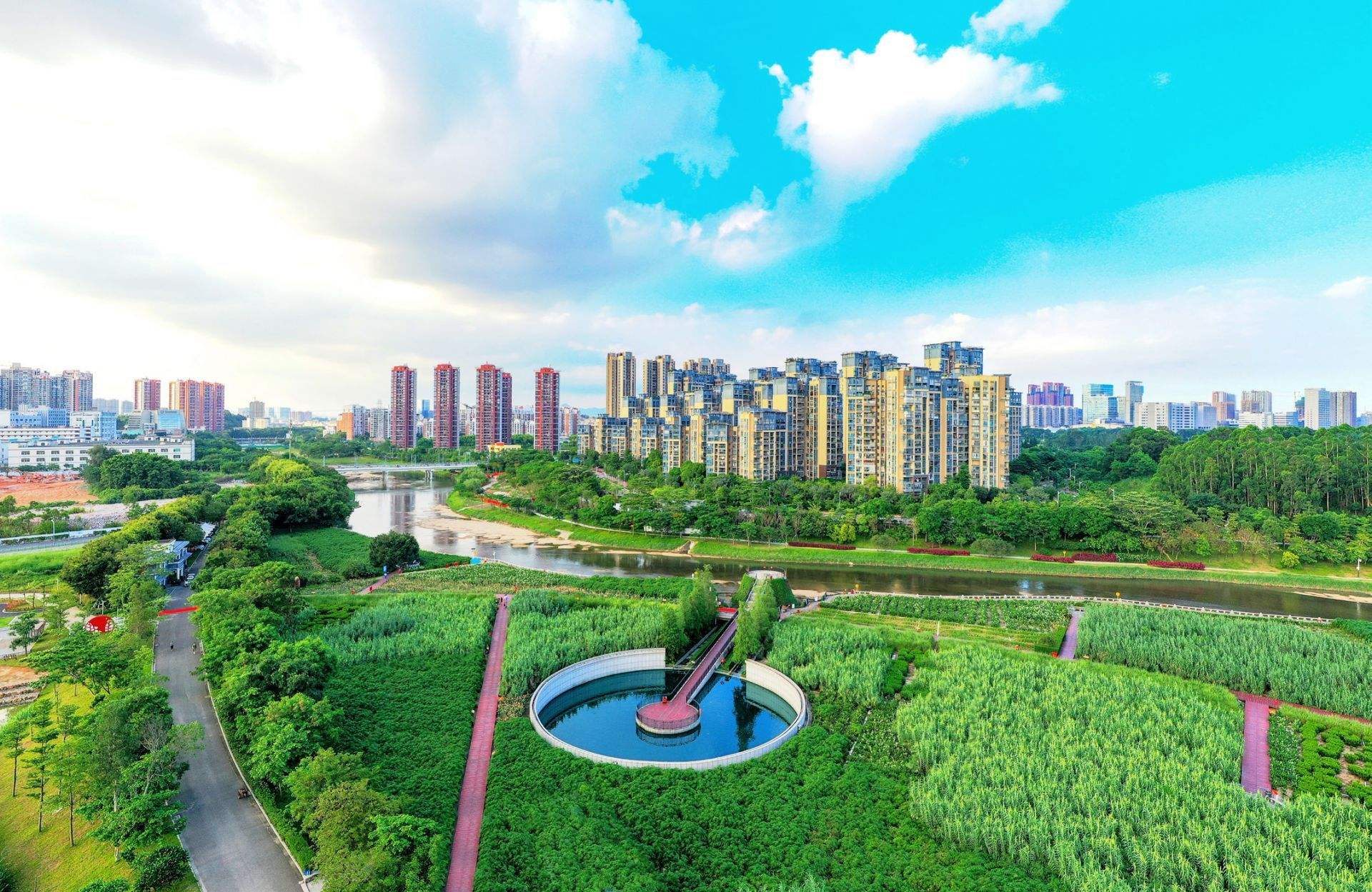 2019年6月深圳某園林綠化企業(yè)項(xiàng)目